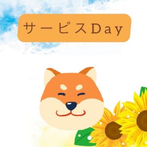 ドッグヘアーサロンto doの8月のサービス企画